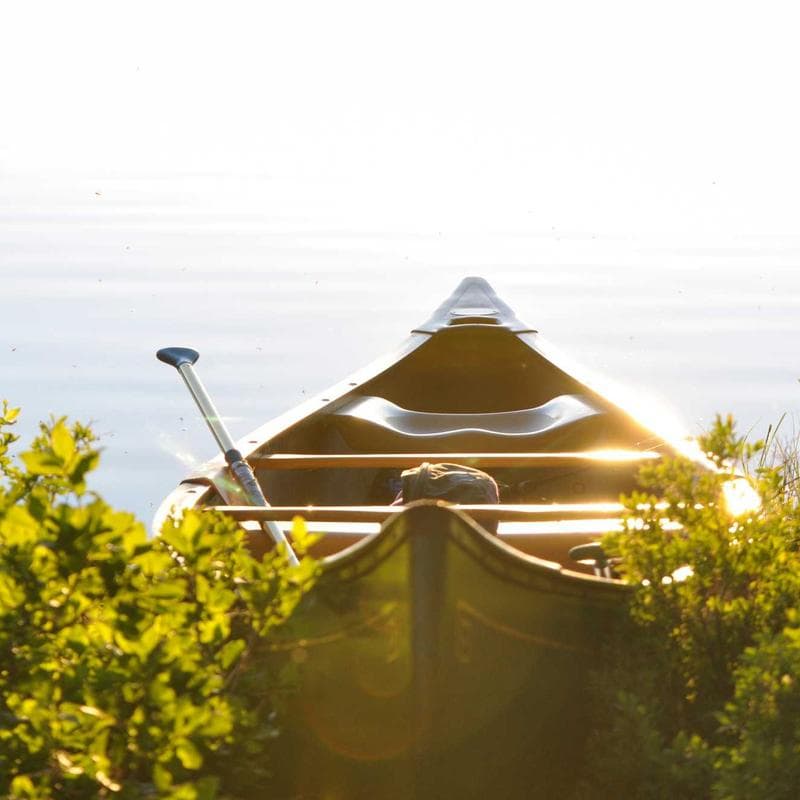 Mousepad XL Escritorio